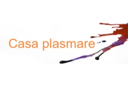 Logo für Psychosoziale Praxis Casa plasmare Logo für Psychosoziale Praxis Casa plasmare